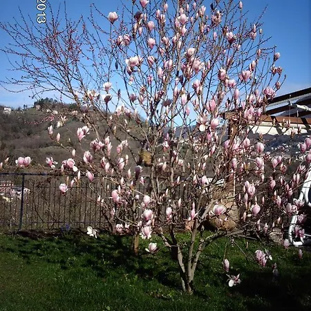 Le Rondini Oda ve Kahvaltı Cassanesi