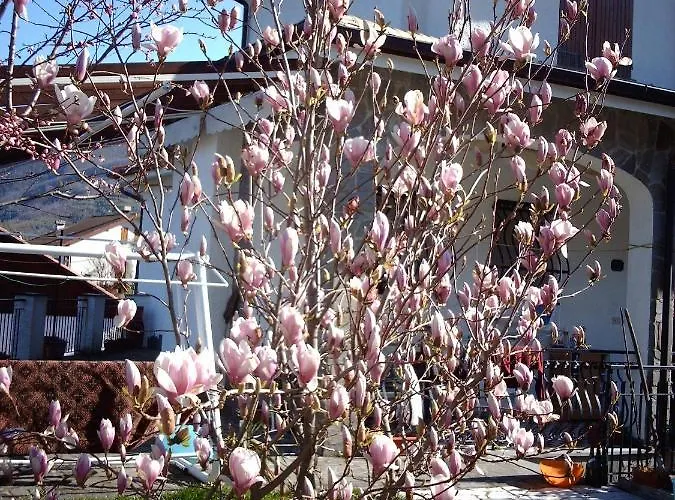 Le Rondini Panzió Cassanesi