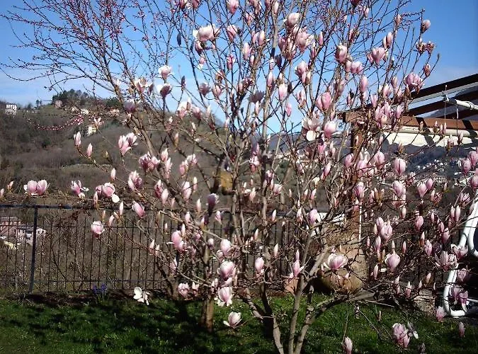 Le Rondini Panzió Cassanesi