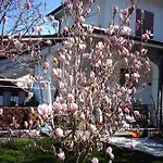 Le Rondini B&B Cassanesi