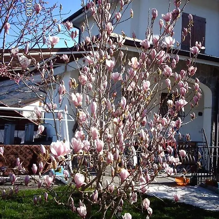Le Rondini Bed and breakfast Cassanesi